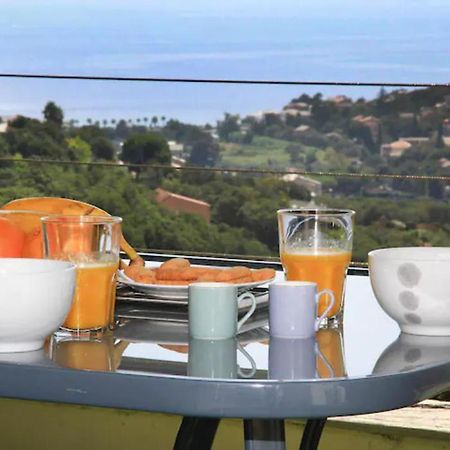 Cap Corse Uribellinu 2 Formule Petit Dejeuner Santa-Maria-di-Lota 외부 사진